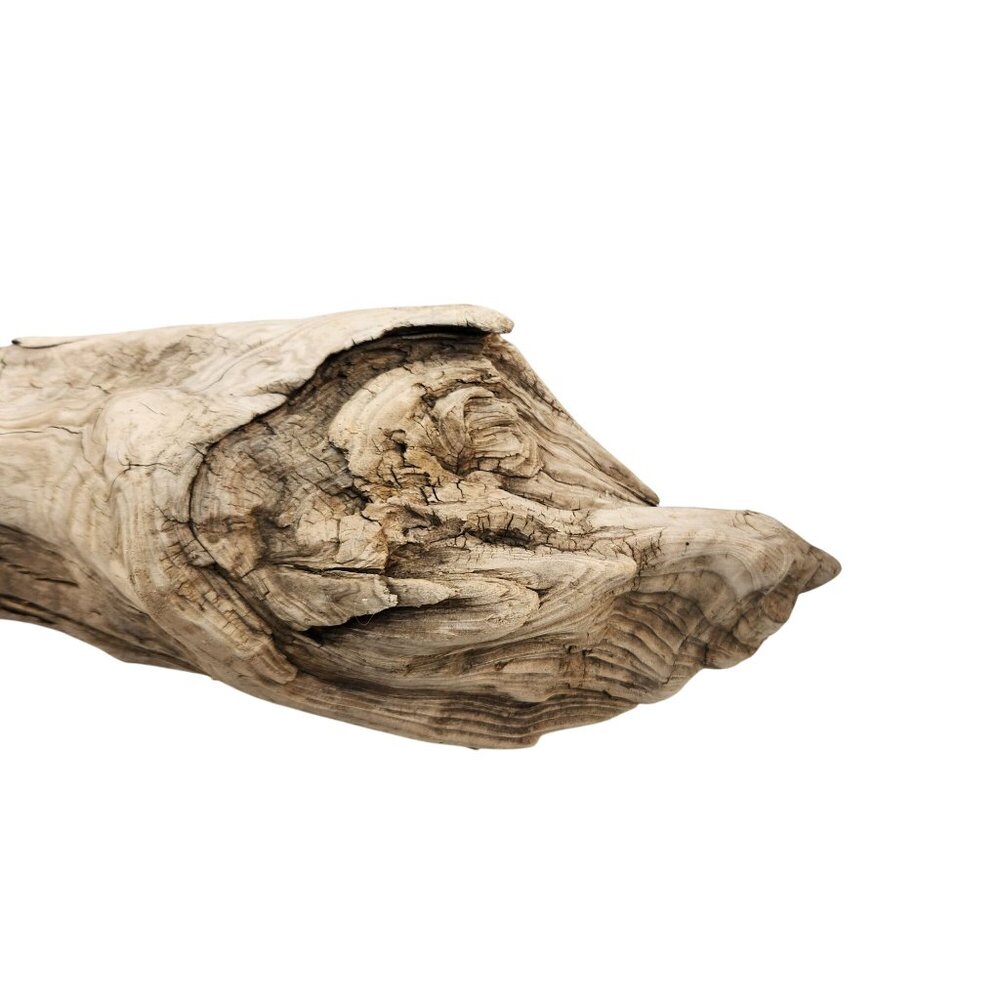 Natural Driftwood Decor Piece For Crafting Aquariums Reptile Tanks Or Rustic Dis - Picture 13 of 14